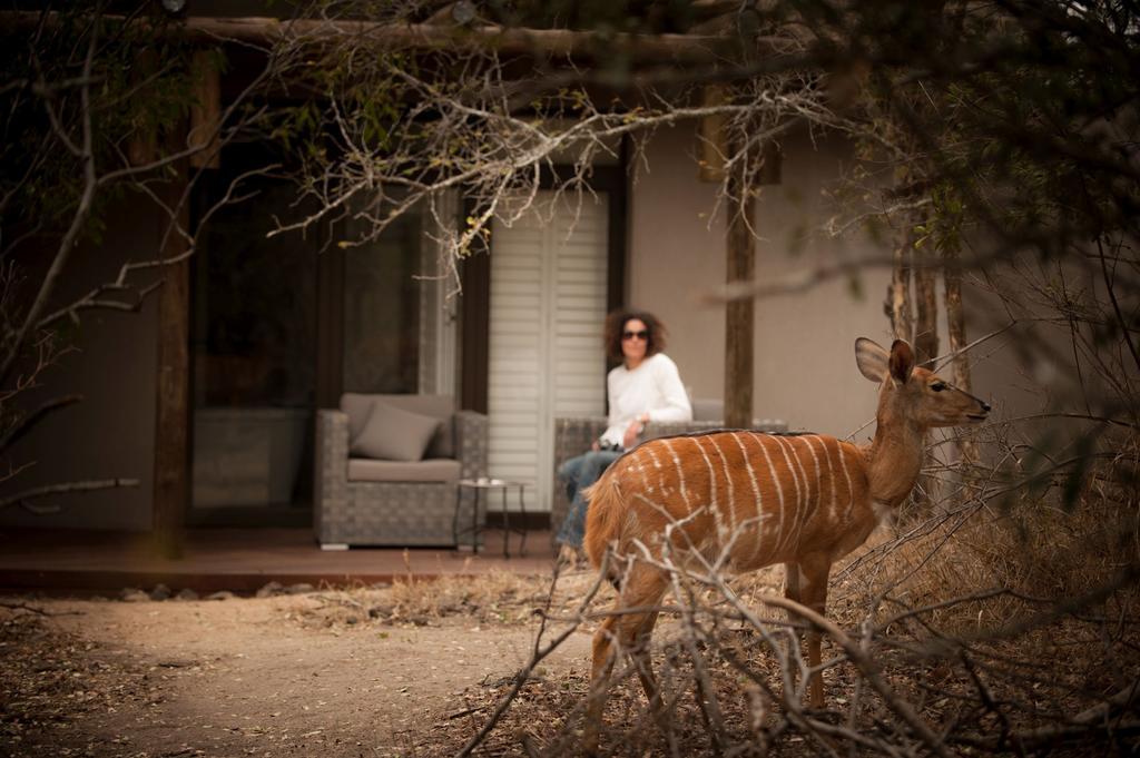 Moditlo River Lodge Hoedspruit Exteriör bild